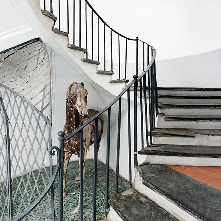 アパート Nilos Flat Historical Center *